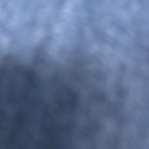 Meet your Posher, Nayeli